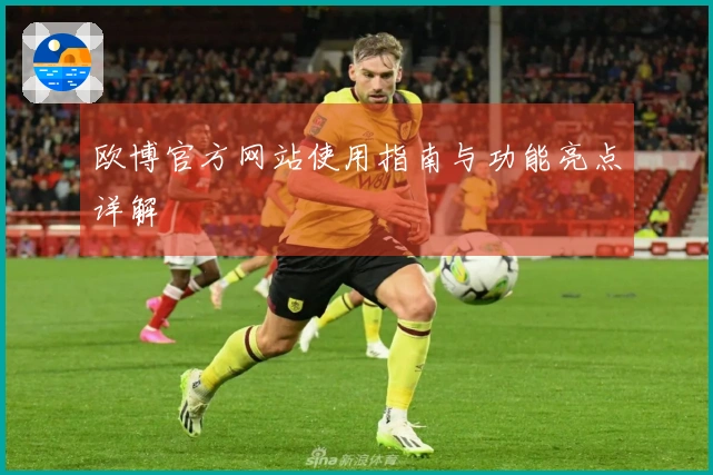 欧博官方网站使用指南与功能亮点详解