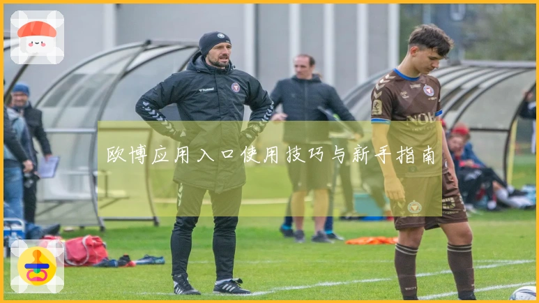 欧博应用入口使用技巧与新手指南