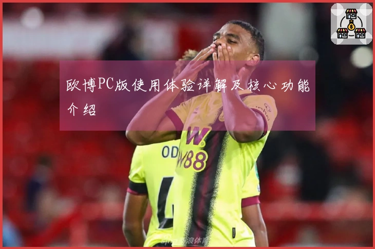 欧博PC版使用体验详解及核心功能介绍