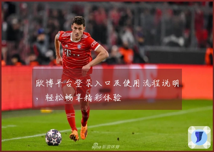 欧博平台登录入口及使用流程说明，轻松畅享精彩体验