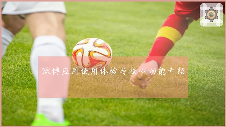 欧博应用使用体验与核心功能介绍