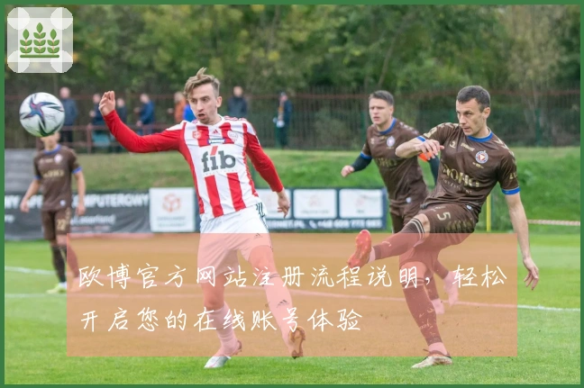 欧博官方网站注册流程说明，轻松开启您的在线账号体验