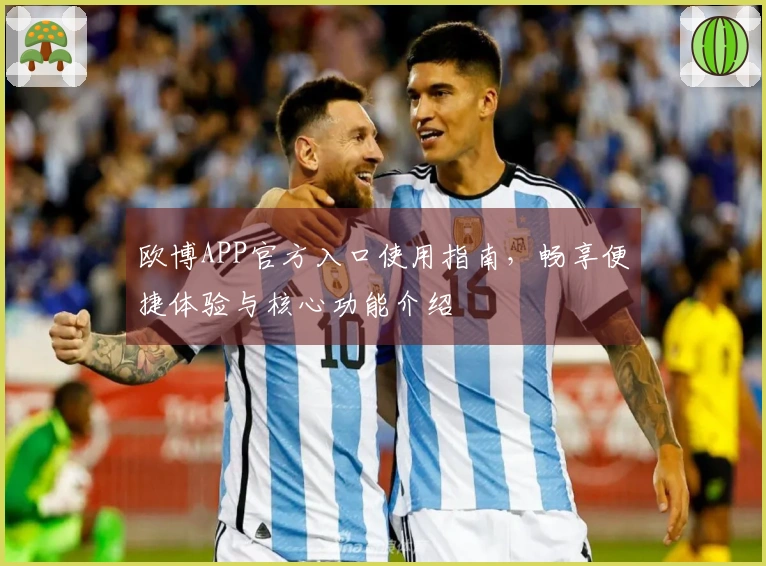 欧博APP官方入口使用指南，畅享便捷体验与核心功能介绍