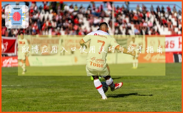 欧博应用入口使用技巧与新手指南