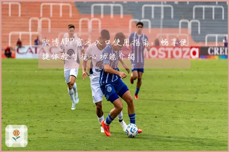 欧博APP官方入口使用指南，畅享便捷体验与核心功能介绍